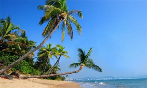 薛太保肥肠芋儿鸡