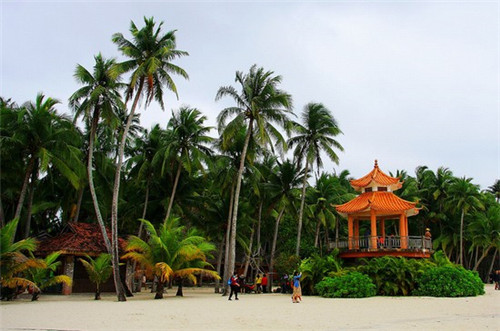 加盟咔咔熊鲜茶饮品会亏本吗