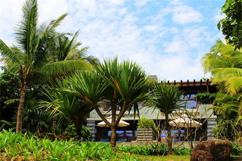 南山山上有什么景点（南山景区游玩攻略）