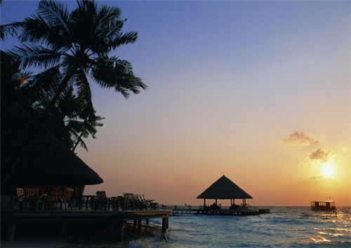 理县开店创业哪些全麦白啤加盟项目比较靠谱