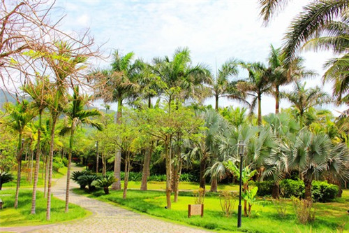 眼霜加盟品牌现在哪些比较可靠，眼霜推荐及价格