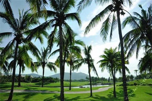 城固县加盟传昊五谷鲜鱼粉投入会不会很高