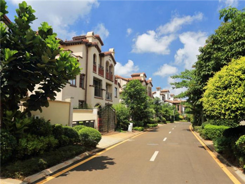 青木川是什么景点（青木川景点风光介绍）