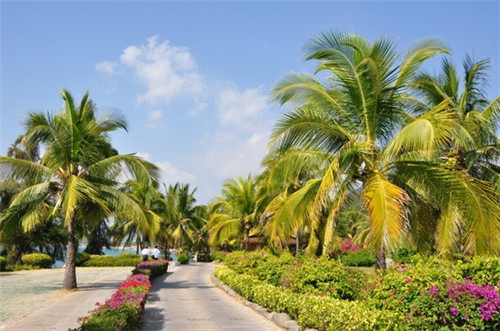 贵州有哪些好景区（贵州有什么好的景区）